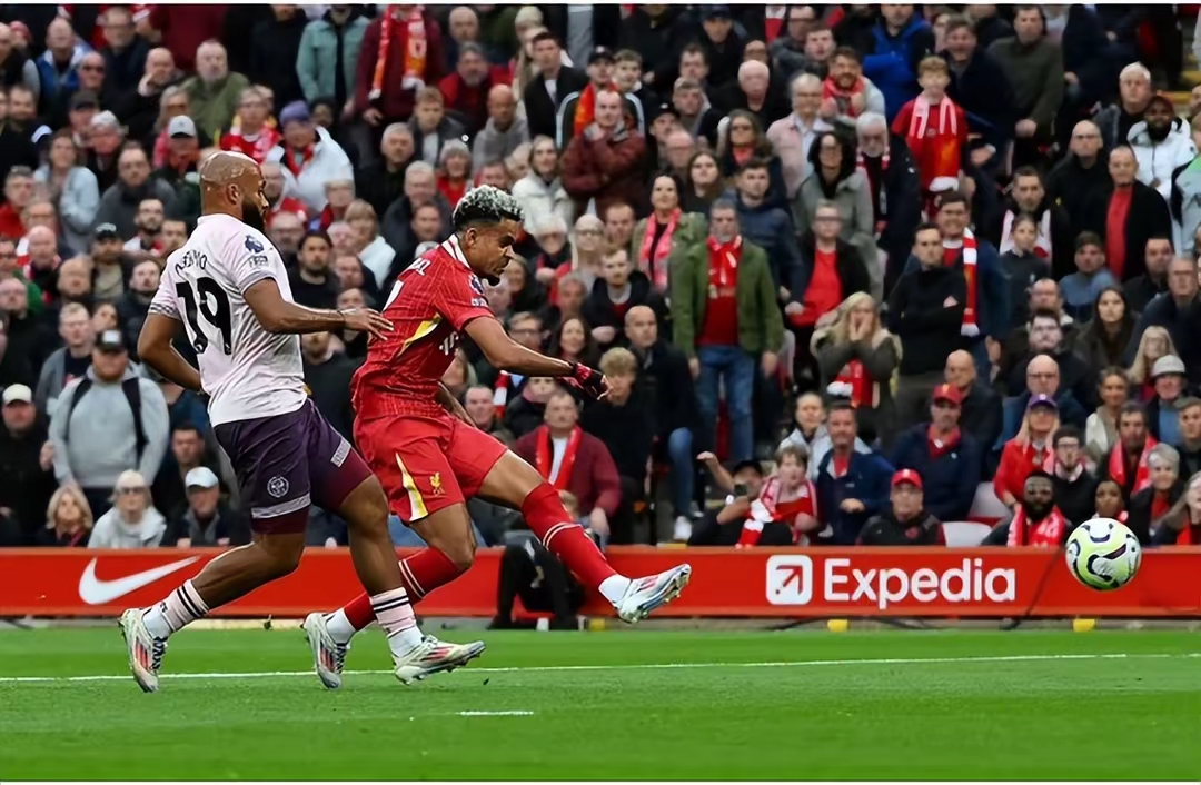 包含利物浦战绩表现亮眼，将何去何从的词条