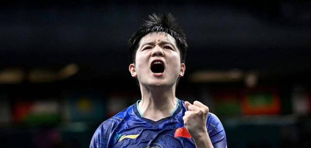 瑞典队逆转法国队，樊振东点燃赛场的简单介绍
