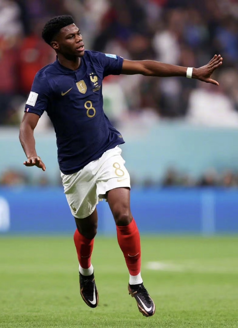 德国险胜奥地利，楚阿梅尼惊艳四座的简单介绍